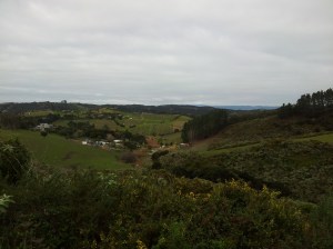 Au loin, j'entrevois les premières vignes !