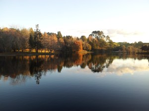 Je kiffe mon Samsung S2...