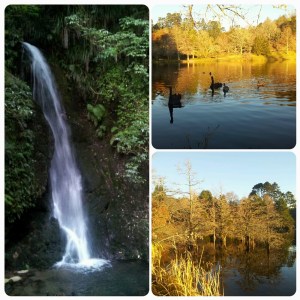 Mode méditation activé