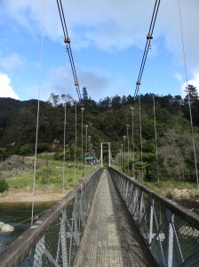 Début de la rando, au-dessus de Ohinemuri River