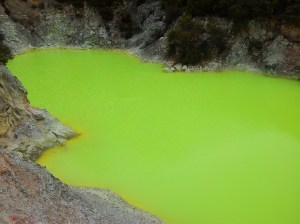 Mix de Champagne Pool + soufre & sels ferreux