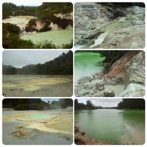 En haut à gauche: vue panoramique; milieu gauche: Frying Pan Flat; bas gauche: Oyster Pool; haut/milieu droite: vers le Lake Ngakoro