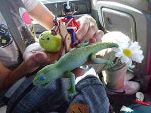 Le monde étrange des blogueurs...