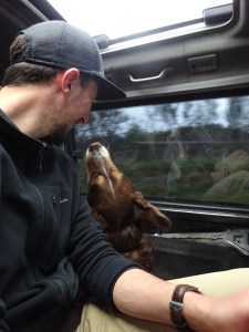 Mais oui que t'es meuuugnon !