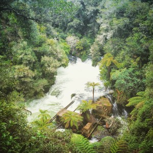 Okere Falls, you made my day ! <3
