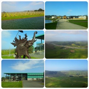 Gauche: Elephant Hill Winery / Droite: Craggy Range Winery (depuis Te Mata Peak)