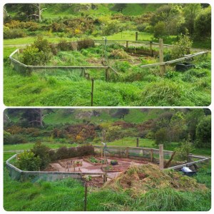 CAP Paysager ? Pourquoi pas !