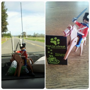 Roseanne, if you read me, thanks again for the ride !