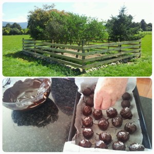 Sans commentaires...