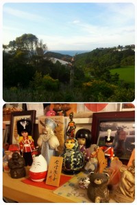 La vue depuis leur appart - Mr Wellington avec tout ce qu'ils ont pu rapporter de leurs voyages...