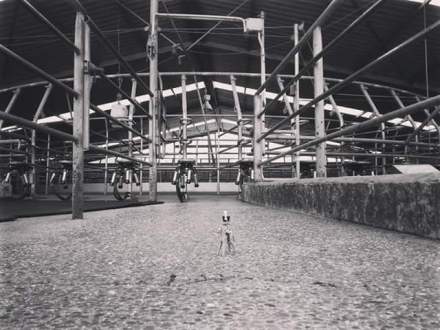 FB_IMG_1454646730207